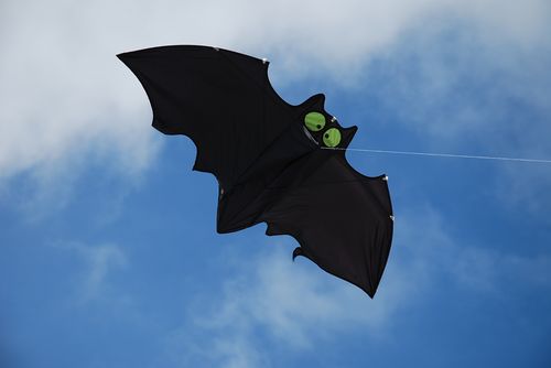 蝙蝠-001
